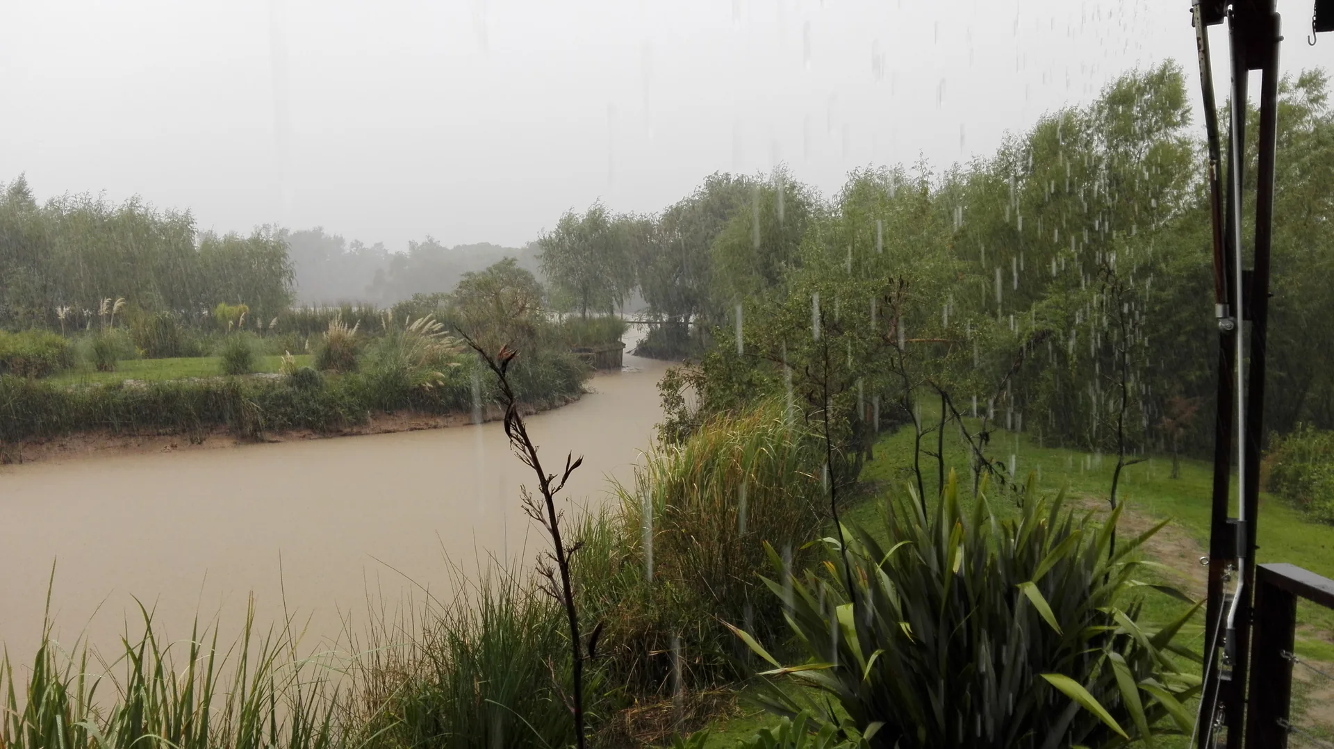Isla Verde Lodge — imagen 10