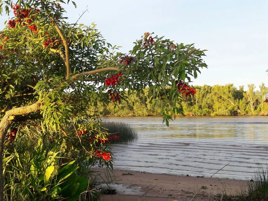 Isla Verde Lodge — imagen 9